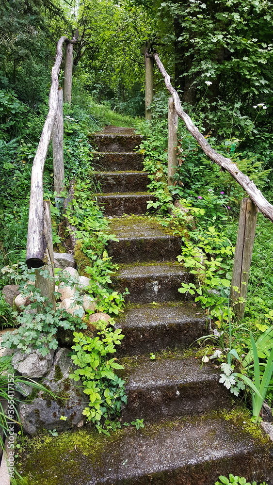 Treppe am Wanderweg