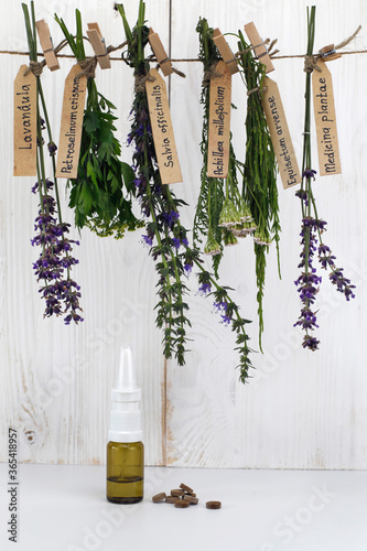 Bunches of medicinal plants on a wooden white background near a bottle with a cure for a cold. Alternative medicine. Herbal treatment.