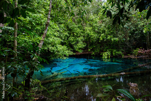 Blue or emerald pool in National park Sa Morakot, Krabi, Thailand. photo