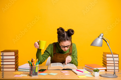 Fotobehang Portrait of her she attractive focused knowledgeable brainy diligent girl nerd r