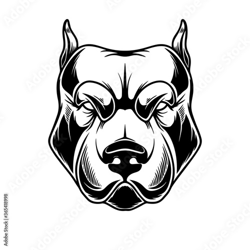 Illustration of head of pit bull in vintage monochrome style. Design element for logo, emblem, sign, poster, card, banner. Vector illustration