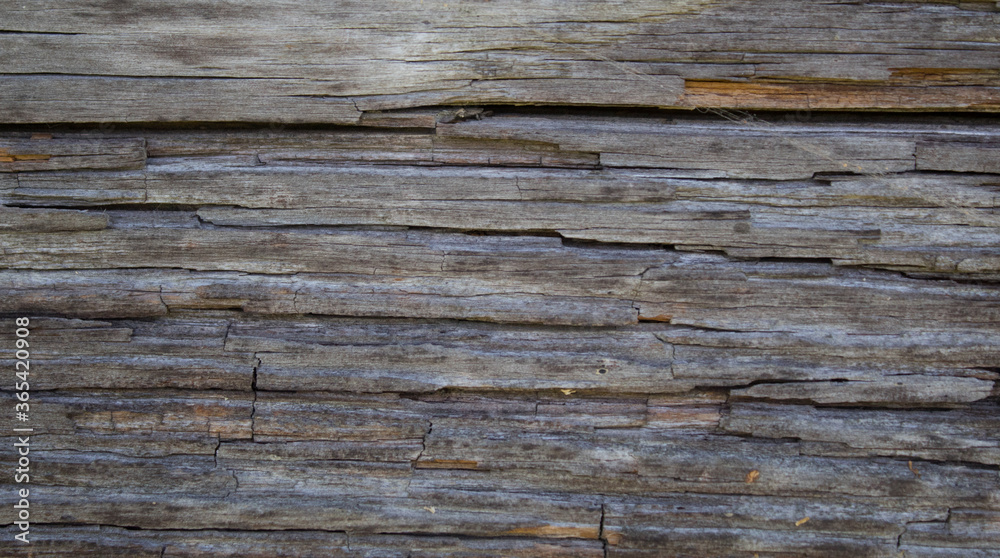 dark wood background with texture. Old grunge dark textured wood background, Surface of old brown wood texture. Old wood texture with natural patterns. dark wood background with texture. Old grunge dark textured wood background, Surface of old brown wood texture. Old wood texture with natural patterns.