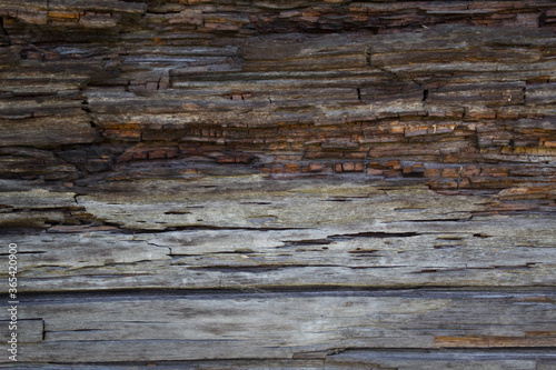 dark wood background with texture. Old grunge dark textured wood background, Surface of old brown wood texture. Old wood texture with natural patterns. 
