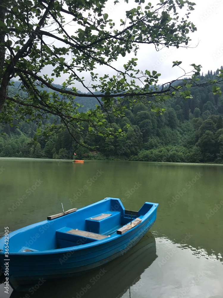 Blue boat on the lake. surrounded by trees. Blue boat on the lake. surrounded by trees.