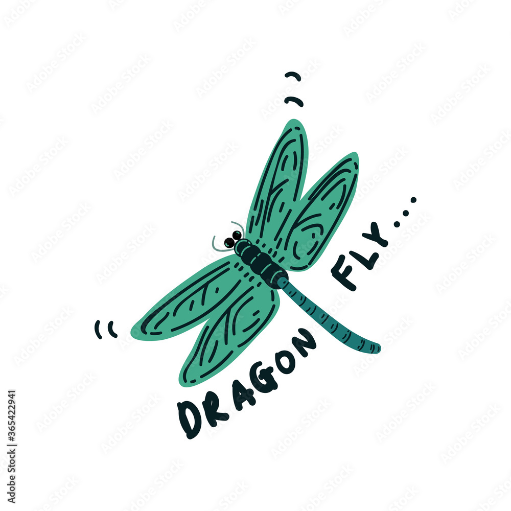hand drawn dragonfly vector illustration . creative animal designs for fabric, wrapping, wallpaper, textile, apparel. hand drawn dragonfly vector illustration . creative animal designs for fabric, wrapping, wallpaper, textile, apparel.