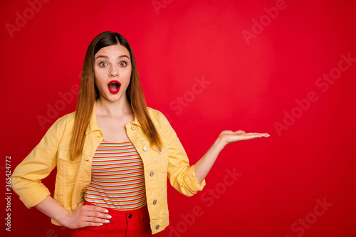 Portrait of her she nice-looking attractive pretty amazed glad cheerful cheery red-haired girl holding on palm copy space ad advice decision isolated on bright vivid shine vibrant red color background