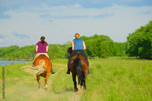 Two Caucasian horsewomen are galloping along the rural road, the back view. The horses hooves are throwing up the dust-clouds. © Ирина Орлова