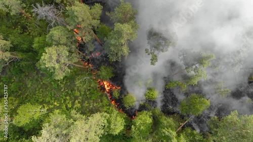 Aerial view Forest fires are burning violently