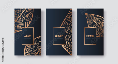 Vector set packaging templates with gold leaves for luxury products, stories of social media, invitation, cosmetics, chocolate, wine. Isolated on black, blue background.