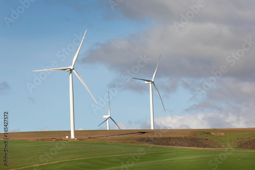 Power generating wind turbines in an agricultural field in South Africa.