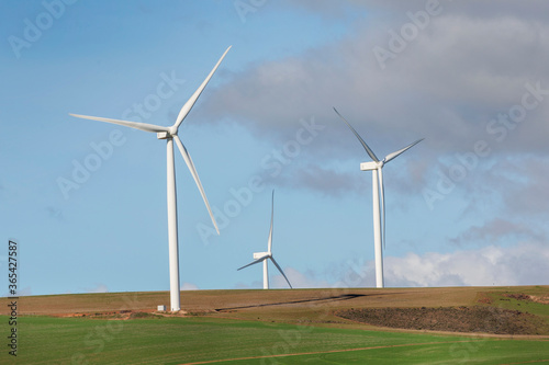 Power generating wind turbines in an agricultural field in South Africa.