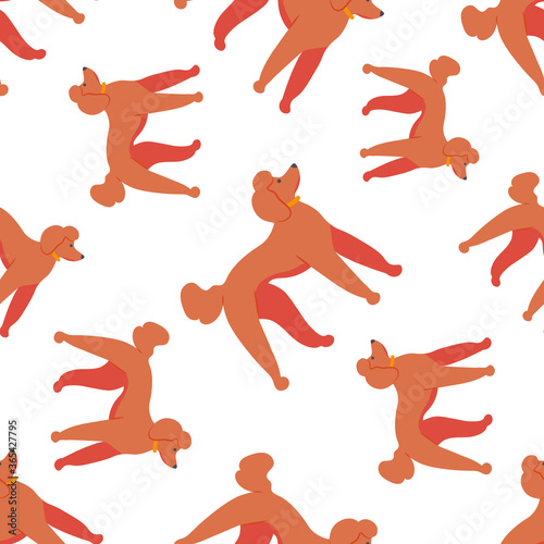 Seamless pattern with funny cartoon style icon of big royal poodle. Simple background with cute family dog.