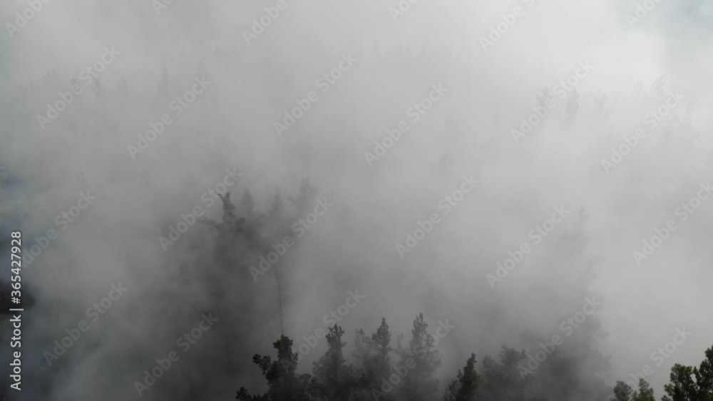 Flying through the foggy clouds in morning. Aerial drone shot flying above a village in the forest. Flying through the foggy clouds in morning. Aerial drone shot flying above a village in the forest.