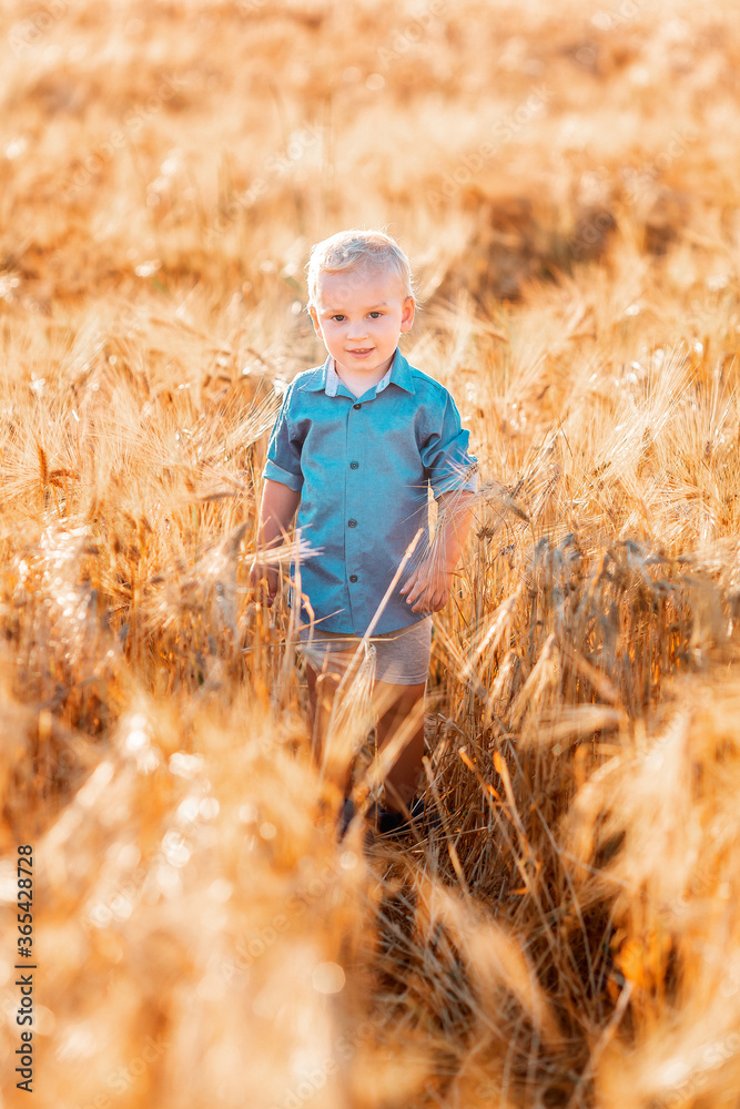 Cute baby boy running down golden wheat field