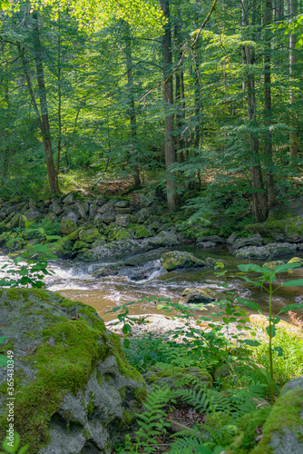 The romantic river ilz in the bavarian forest