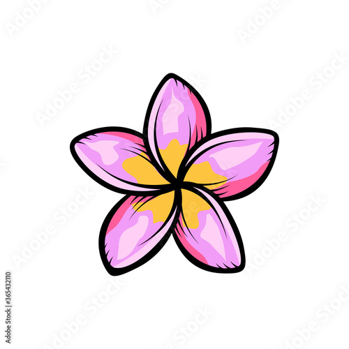 Vintage blooming plumeria flowers concept on white background isolated Floral tropical flower. frangipani element Idea for business visit card, typography vector, print for t-shirt.