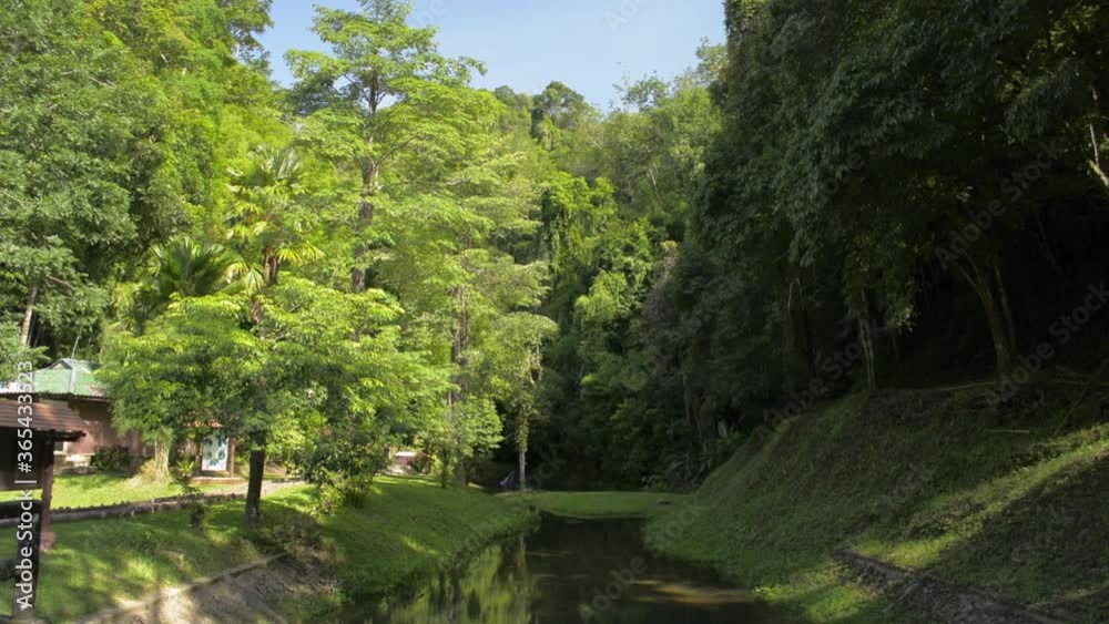 Beautiful scenery landscape over the weir under sunlight in the morning. Panning shot of the park in tropical rain forest during summer with blue sky. Namtok Raman Forest Park. Phang Nga Province. Beautiful scenery landscape over the weir under sunlight in the morning. Panning shot of the park in tropical rain forest during summer with blue sky. Namtok Raman Forest Park. Phang Nga Province.