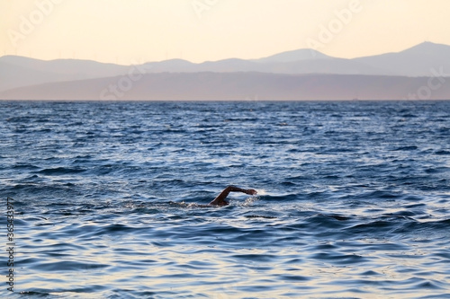 Unrecognizable person swimming at sunset. Beach in Sutivan, island Brac, Croatia. Selective focus.
