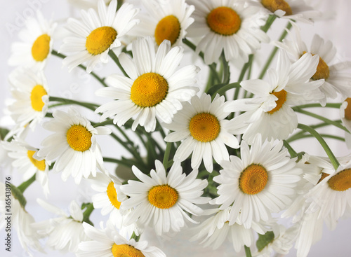camomile. Bouquet of daisies  top view.