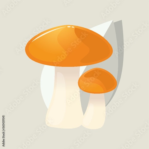 mushrooms