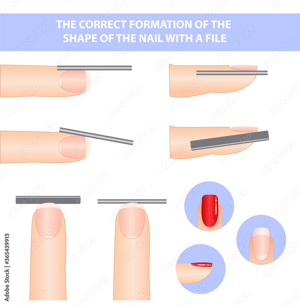 Textbook on the formation of nails. the shape of a square nail. Textbook on the formation of nails. the shape of a square nail.