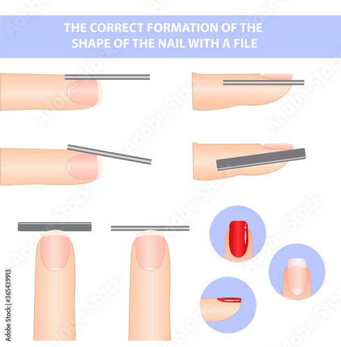 Textbook on the formation of nails. the shape of a square nail.