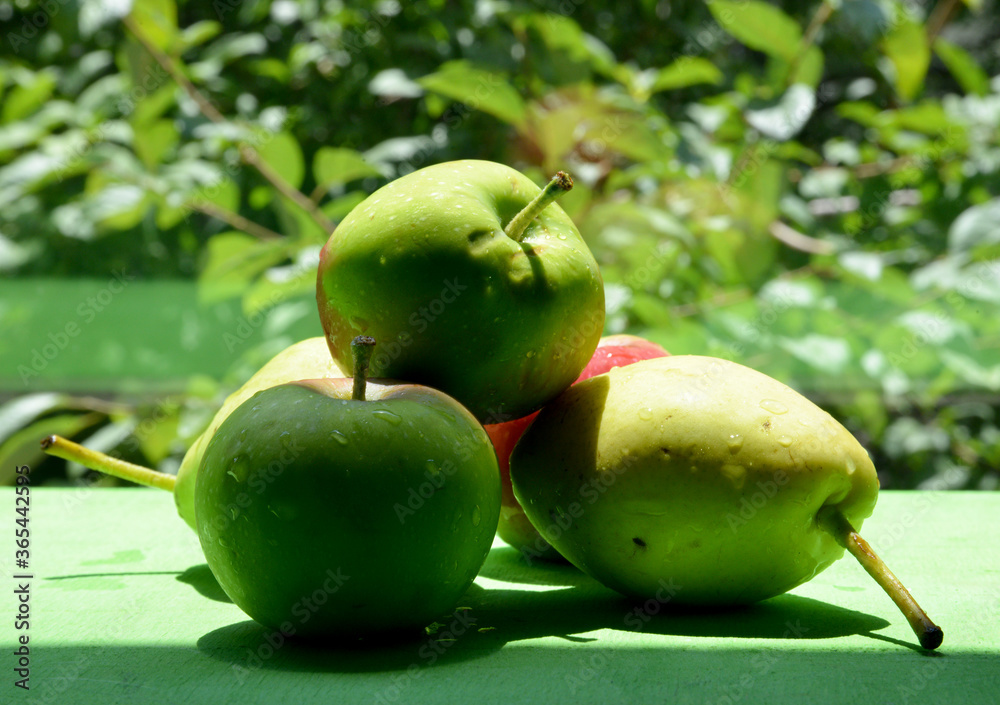 apples and pears on green background