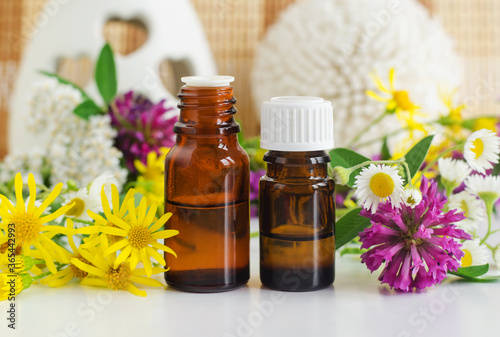 Two small glass bottles with essential oil (herbal tincture, extract, infusion) and wild flowers and herbs. Aromatherapy, homemade spa and herbal medicine ingredients. Copy space.