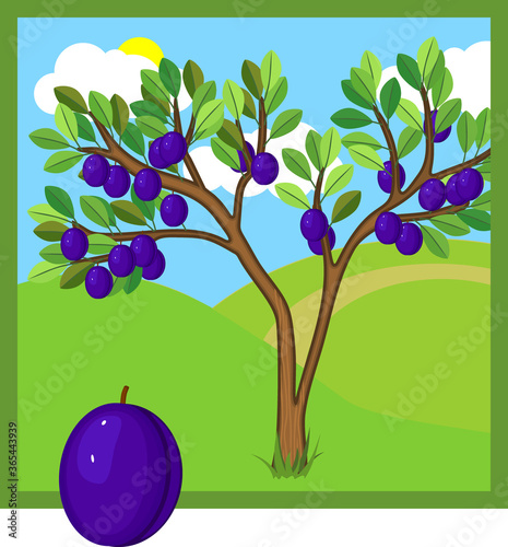 Cartoon plum tree with ripe blue plums and green leaves