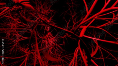 Blood vessel strings virtual reality. Abstract 3D flying inside human body
