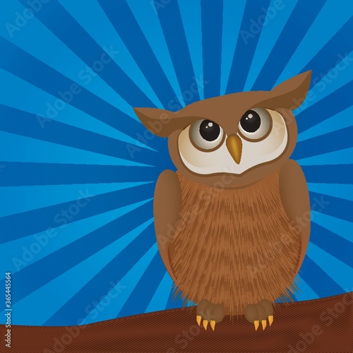 owl