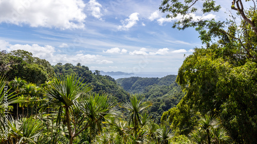 The Balata garden in Martinique in France