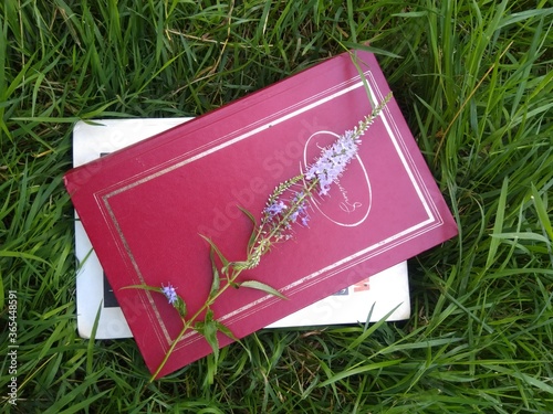 book on grass