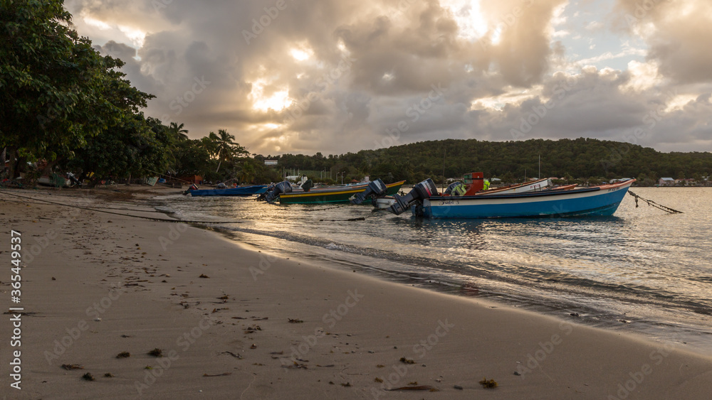 boats on a tropical beach in Martinique