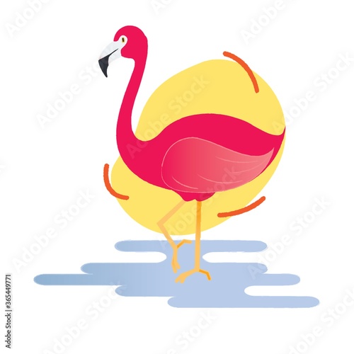 flamingo