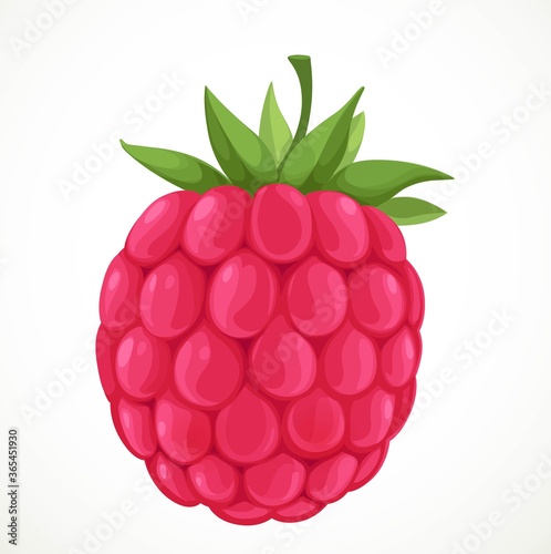 Red raspberry isolated on white background