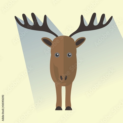 reindeer