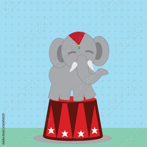 elephant circus