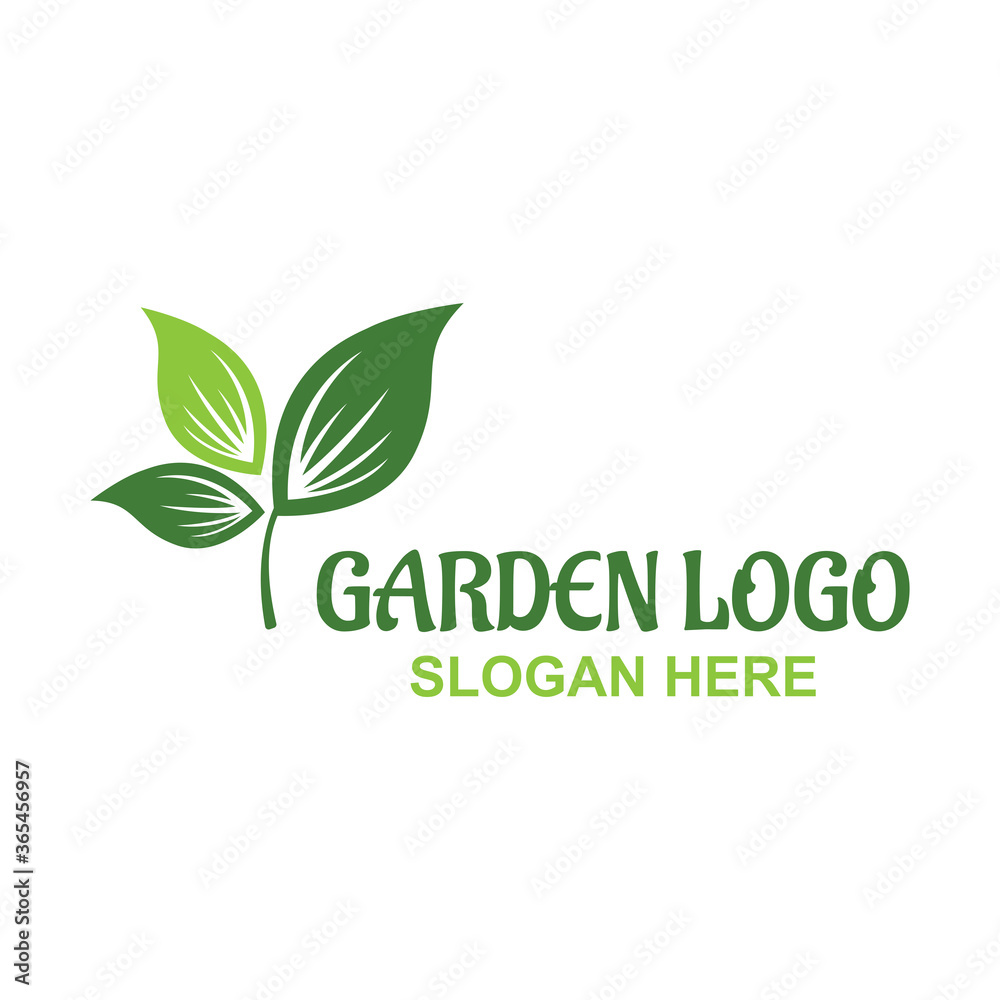 leaf logo vector design template leaf logo vector design template