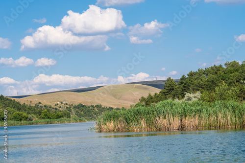 reeds lake under blue sky