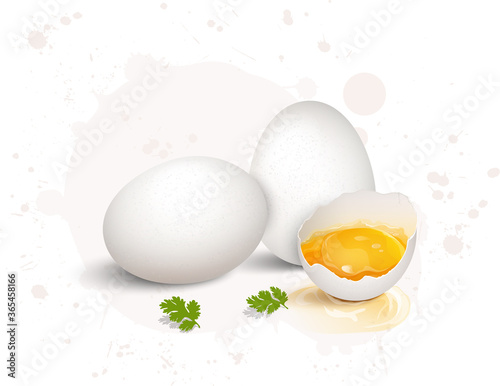 egg  vector illustration with cracked egg and yolk on light grey background