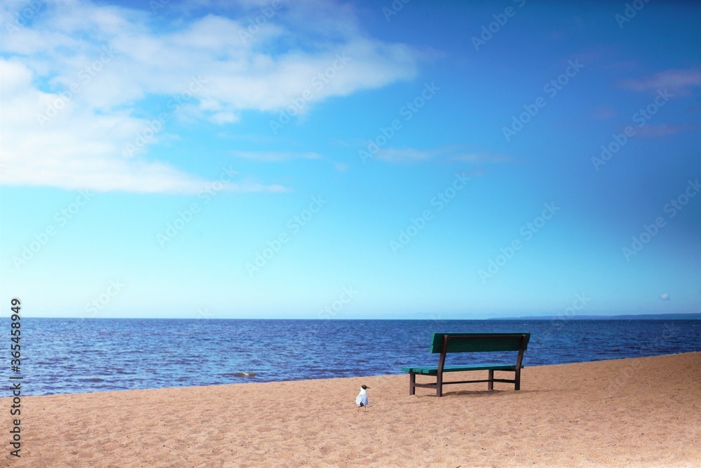 chair on the beach with blue sky chair on the beach with blue sky
