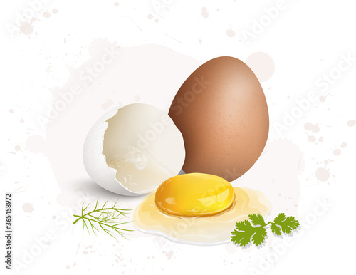 brown and broken white egg with yellow yolk vector illustration