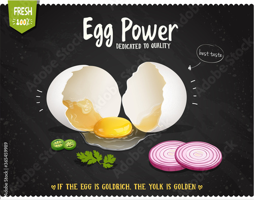 broken egg vector illustration on  black background