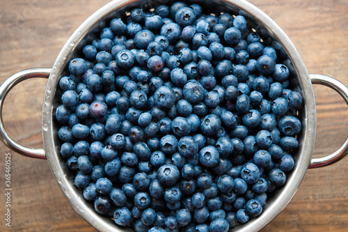 A bunch of freshly picked blueberries