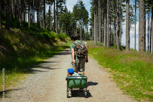 father with a child in stroller is walking along a forest road photo