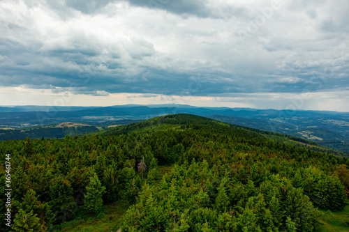 Green forest in mountains of Sudetes, Poland