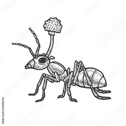 zombie ant mushroom sketch engraving vector illustration. T-shirt apparel print design. Scratch board imitation. Black and white hand drawn image.