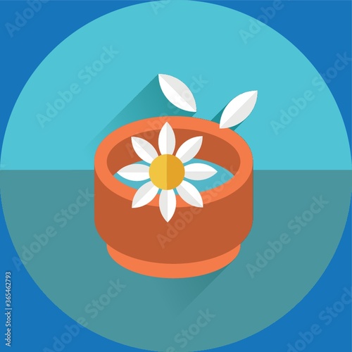 spa bowl with flowers