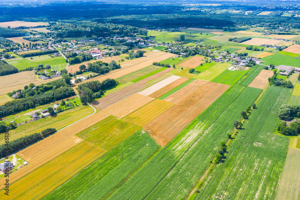 Aerial panorama of agricultural fields - plowed and with crops on bright summer day in